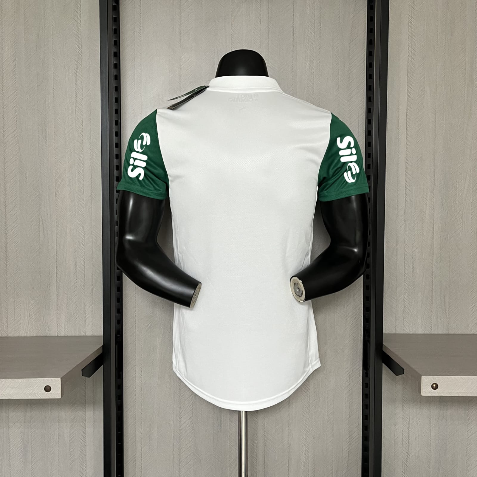 PALMEIRAS ID20